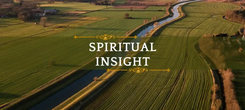 Spiritual Insight