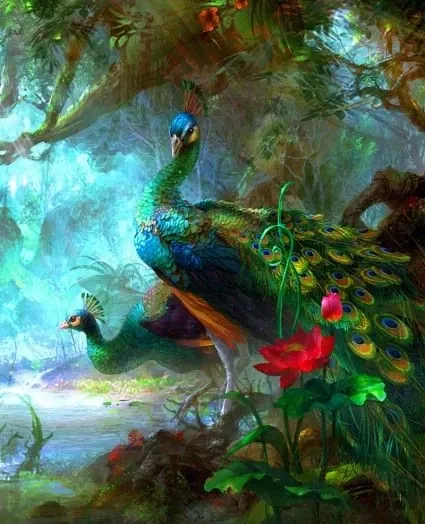 Magha Month Peacocks