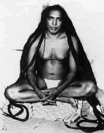 tat Wale baba Himalayan Yogi