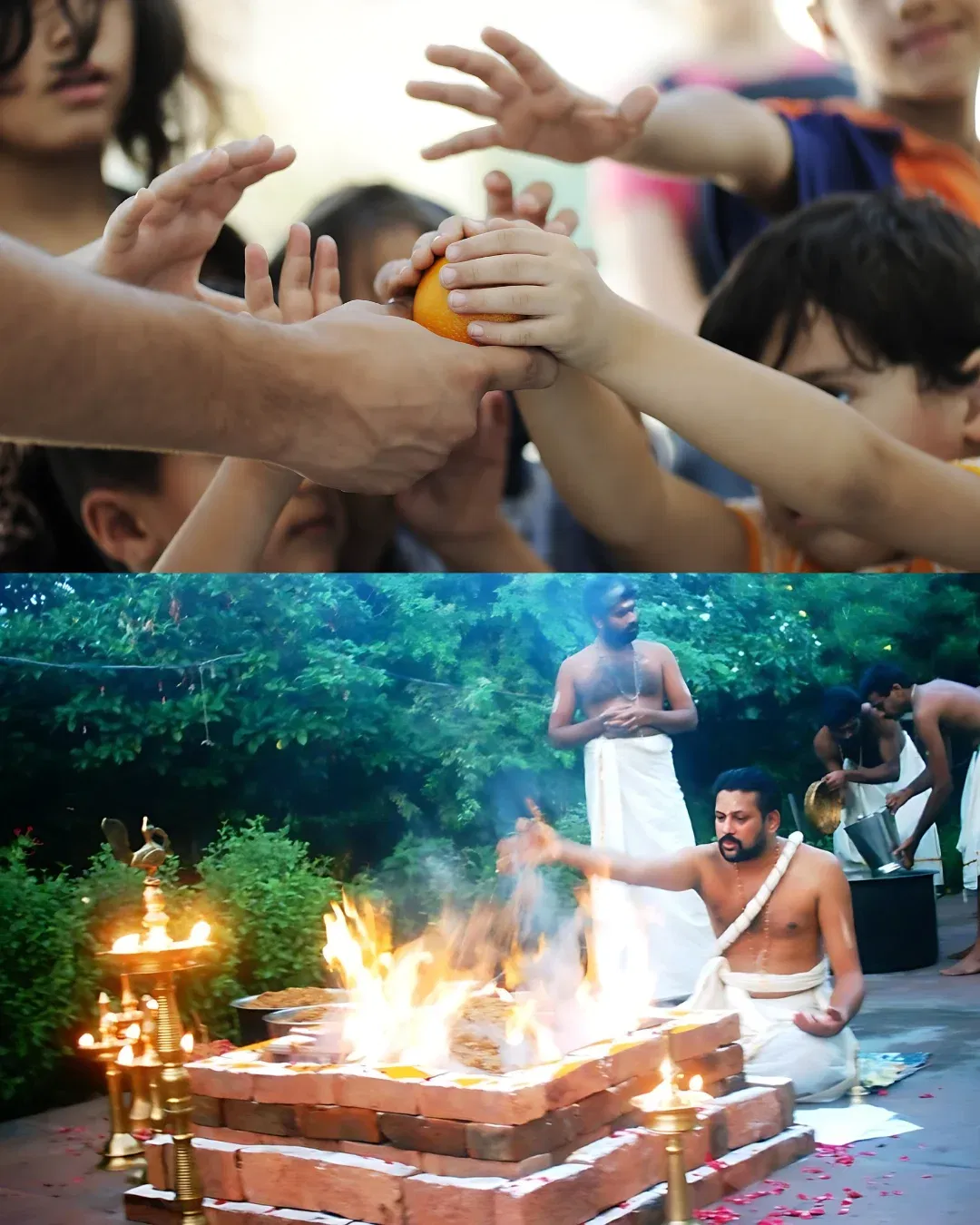 Charitya Sacrifice Flowers